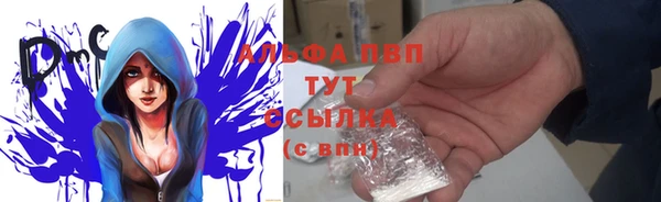 гидра Алзамай