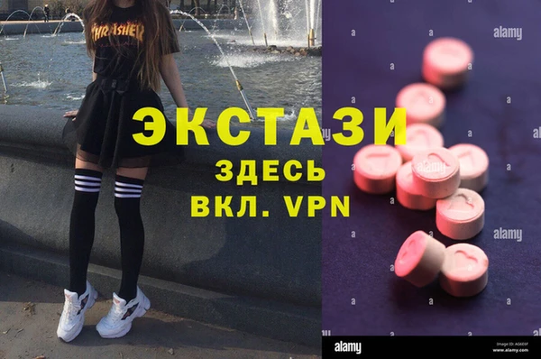 гашик Алексин