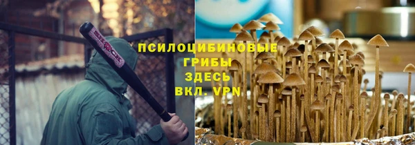 а пвп мука Абаза