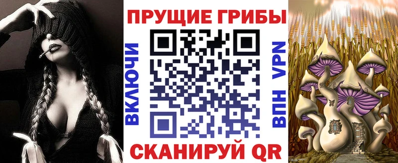 Псилоцибиновые грибы мицелий  гидра как зайти  Жердевка 